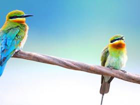 但行好事,莫问前程。