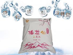 梅花仙袋装水价格_购买_怎么样