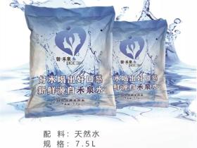 安徽磬禾泉袋装水介绍