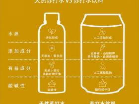 苏打水饮料与天然苏打水有什么区别?