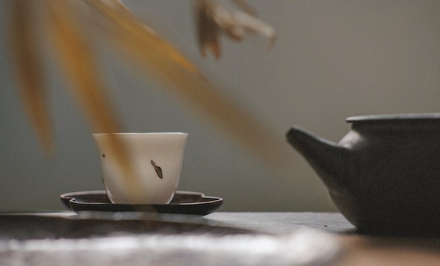 好茶还需好水烹丨苏轼与王安石取水煮茶之趣事