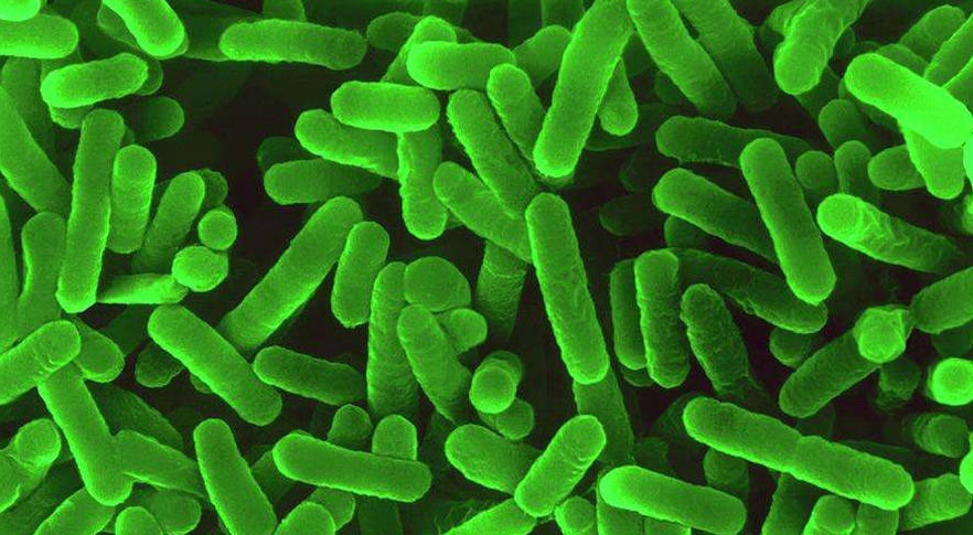 如何预防“桶装水长青苔”和“铜绿假单胞菌超标”？