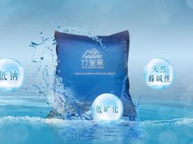 上海竹笙泉袋装水介绍