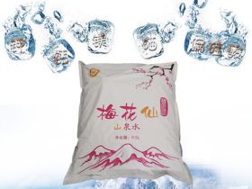 梅花仙袋装水价格_购买_怎么样