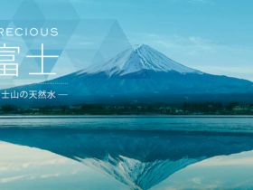 日本年产销3000万包的袋装水企业