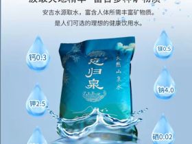 杭州忘归泉袋装水介绍